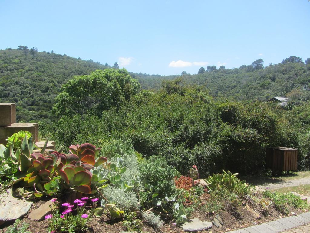 Gulls Way Villa Keurboomstrand Dış mekan fotoğraf